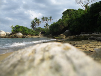 tayrona1