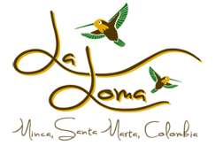 La Loma Minca, Santa Marta