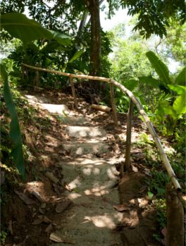 escalera