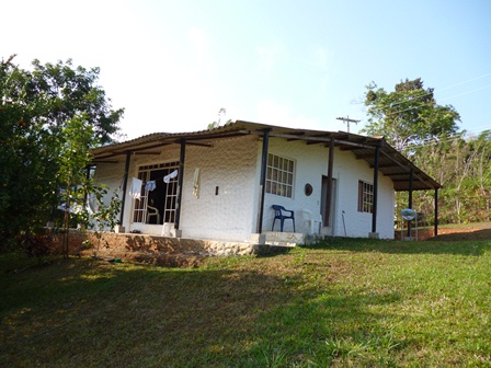 P10006581